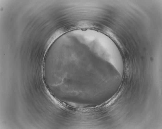 X0000060260810200511181352