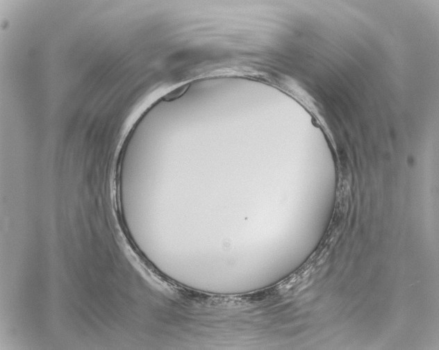 X0000060260811200511181352