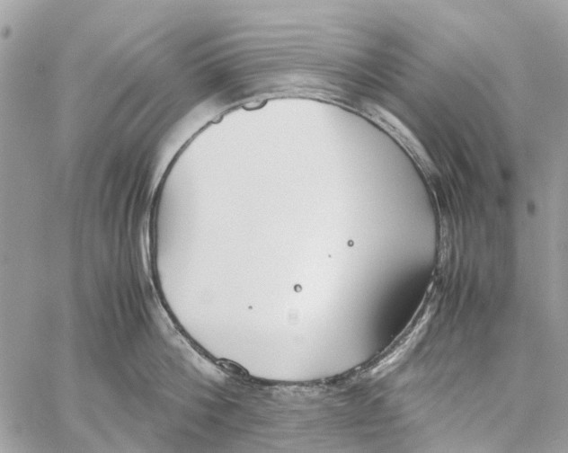 X0000060260812200511181352