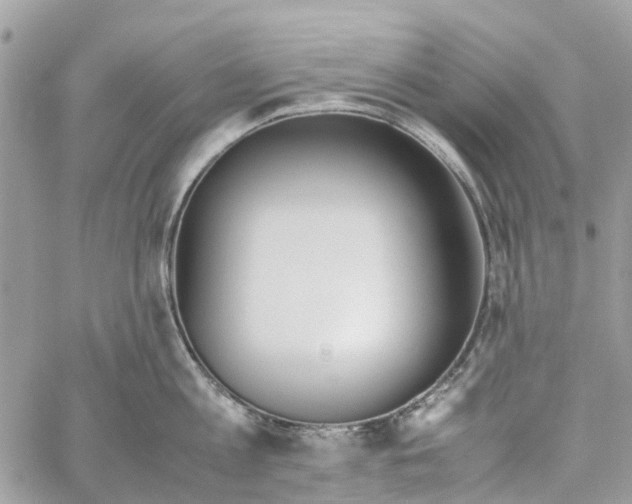 X0000060260813200511181352