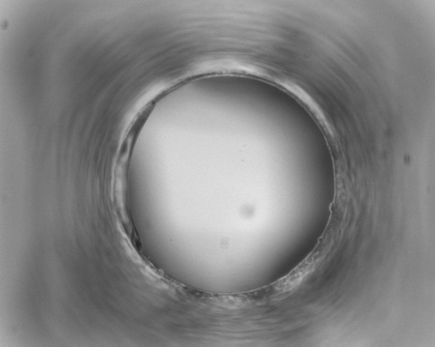 X0000060260815200511181352