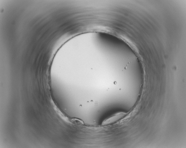 X0000060260816200511181352