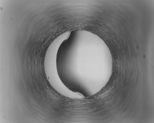 X0000060260818200511181352