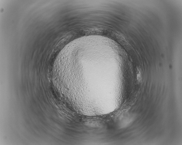 X0000060260819200511181352