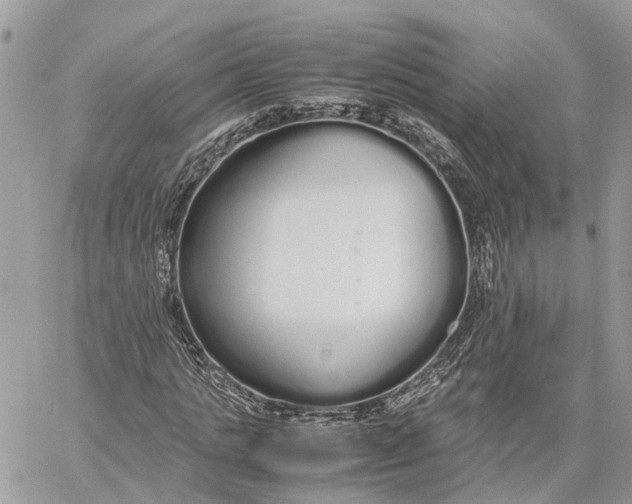 X0000060260821200511181352