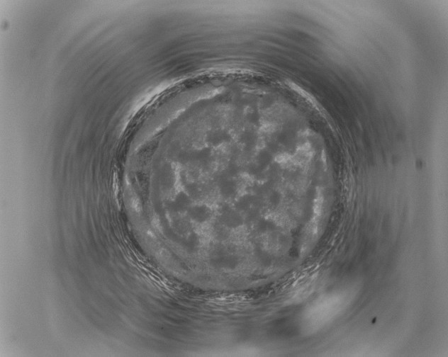 X0000060260823200511181352