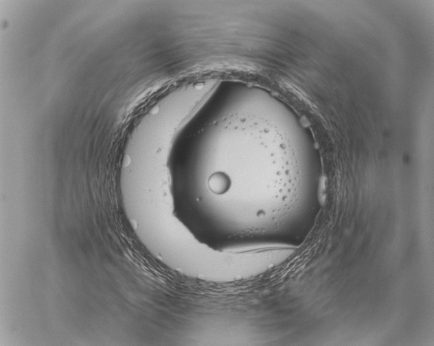 X0000060260824200511181352