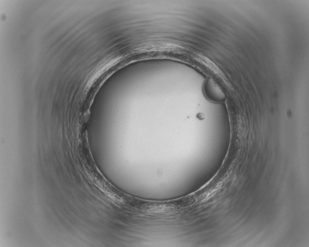 X0000060260826200511181352