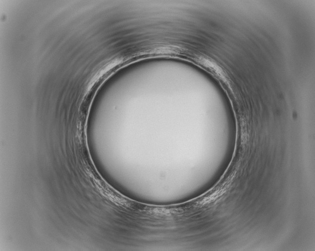 X0000060260827200511181352