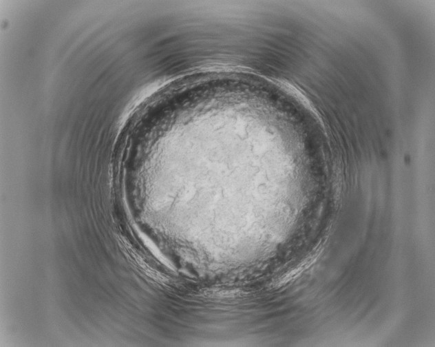 X0000060260831200511181352