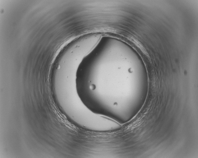 X0000060260832200511181352