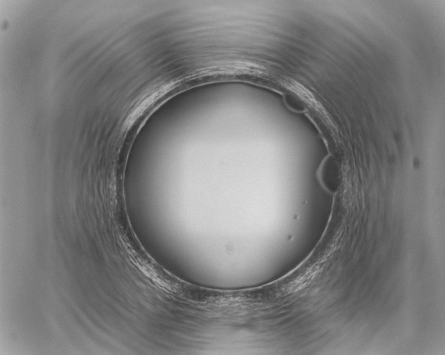 X0000060260834200511181352