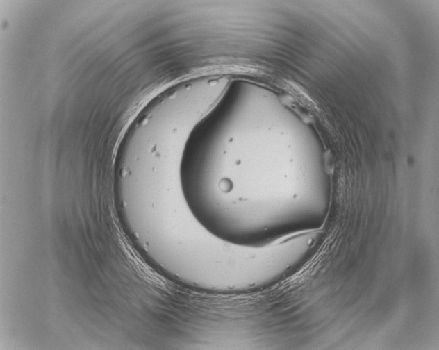 X0000060260836200511181352