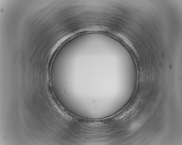 X0000060260837200511181352