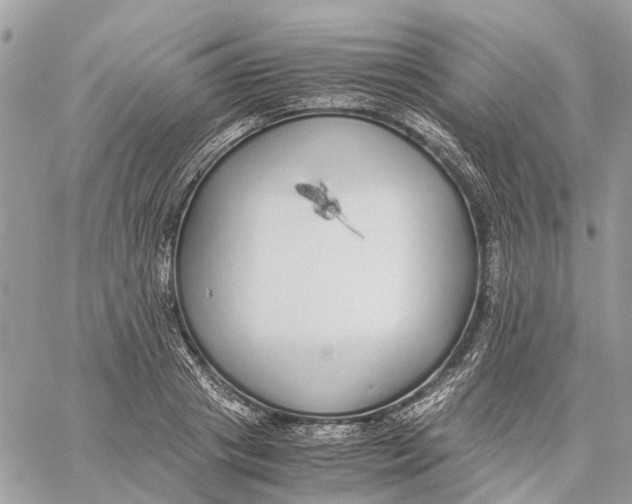 X0000060260841200511181352