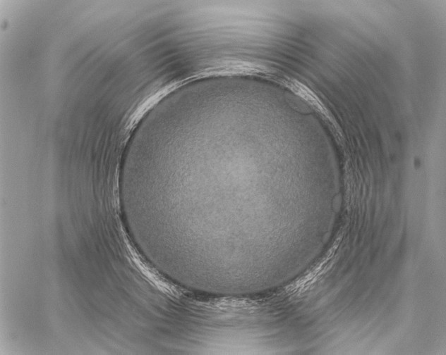 X0000060260842200511181352