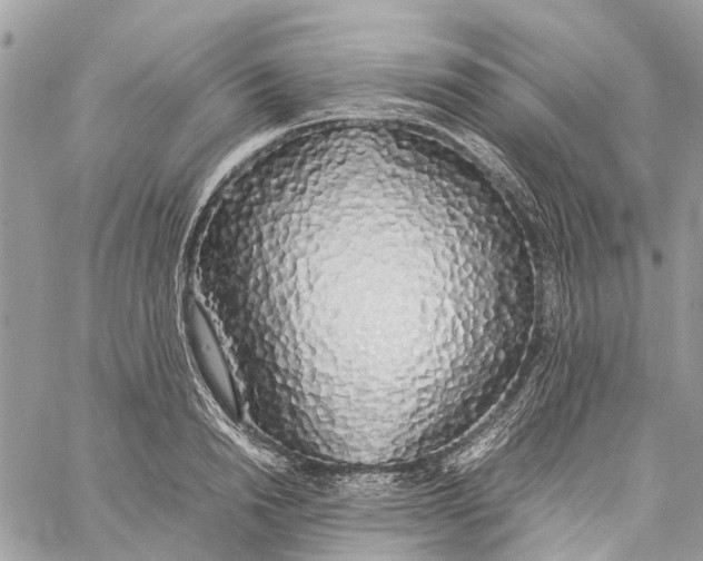 X0000060260846200511181352