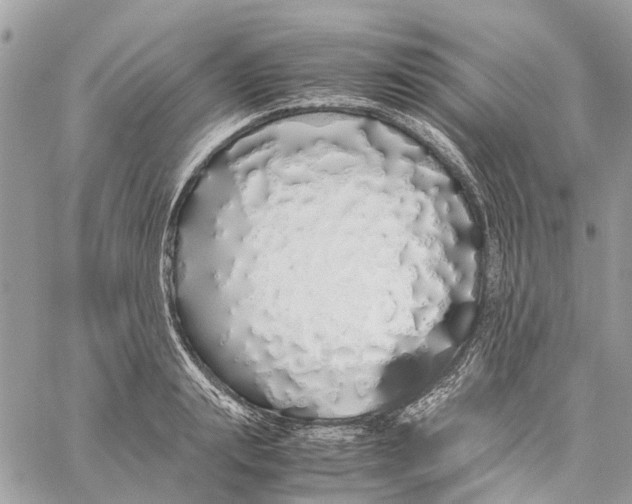 X0000060260847200511181352