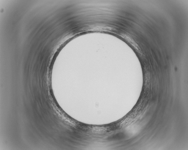 X0000060260848200511181352