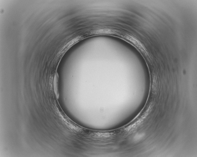 X0000060260849200511181352