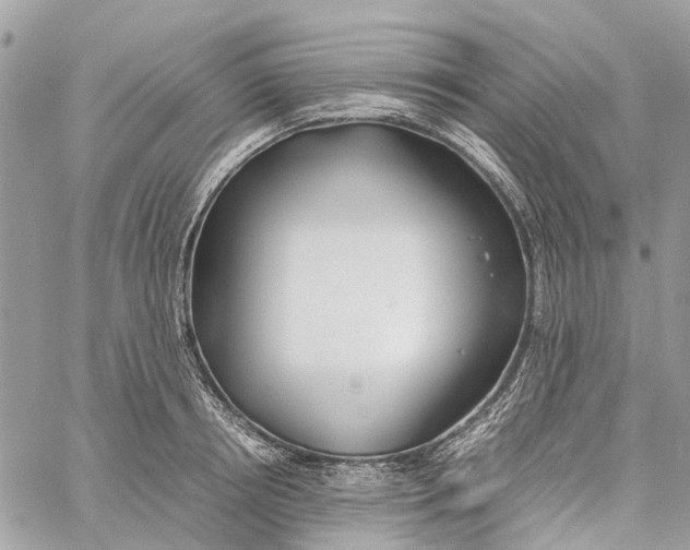 X0000060260850200511181352