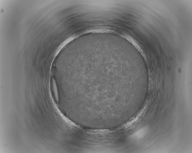 X0000060260853200511181352