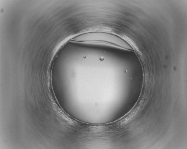 X0000060260854200511181352