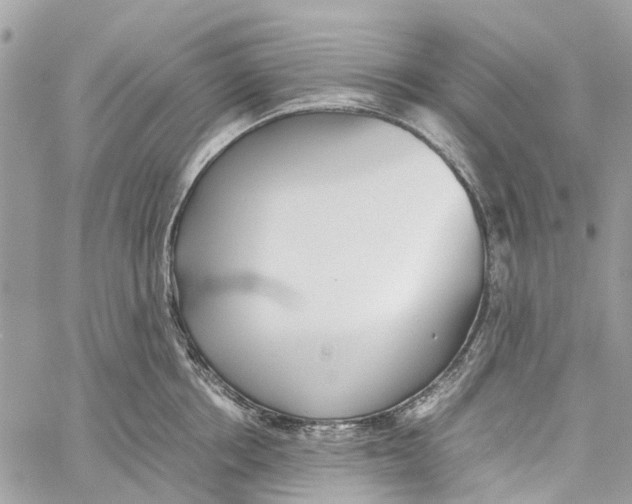 X0000060260858200511181352