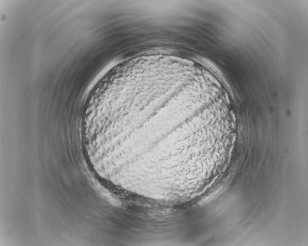 X0000060260859200511181352