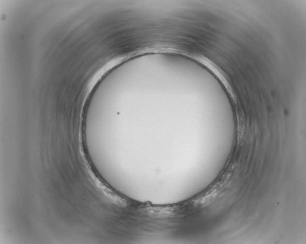 X0000060260861200511181352