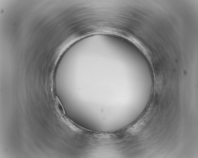 X0000060260862200511181352