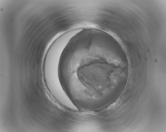 X0000060260864200511181352