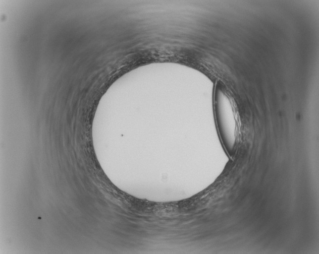 X0000060260865200511181352