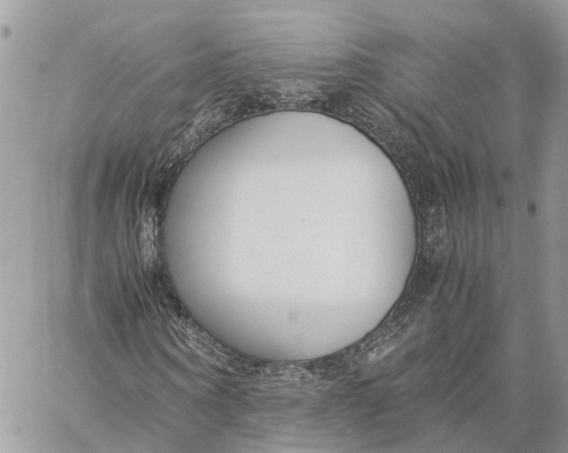 X0000060260866200511181352