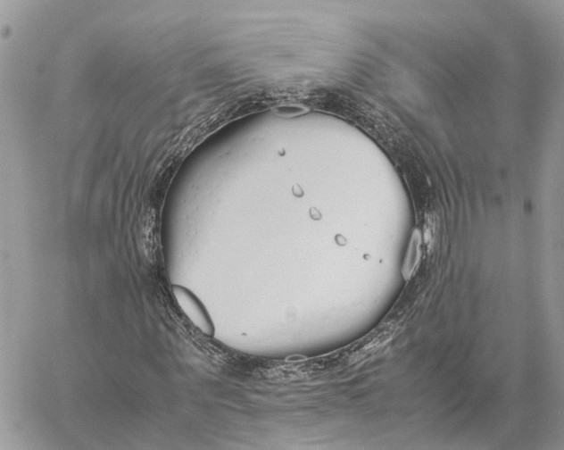 X0000060260867200511181352