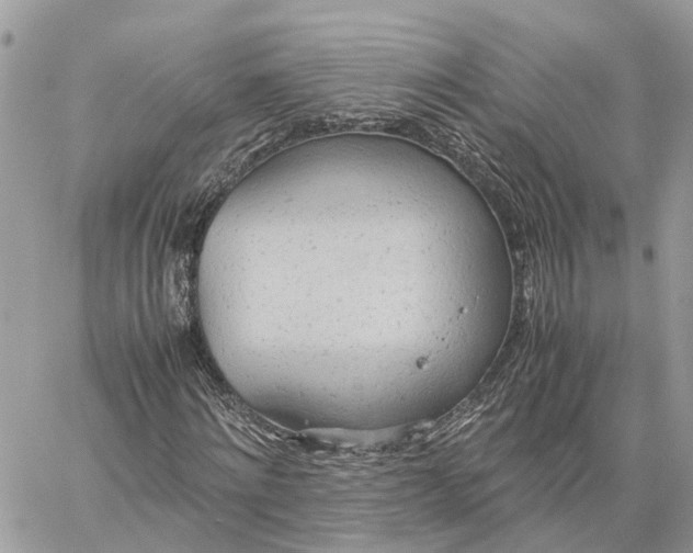 X0000060260868200511181352