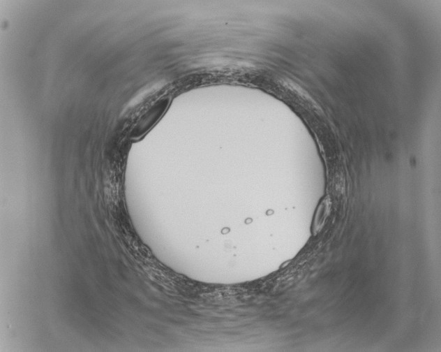 X0000060260869200511181352