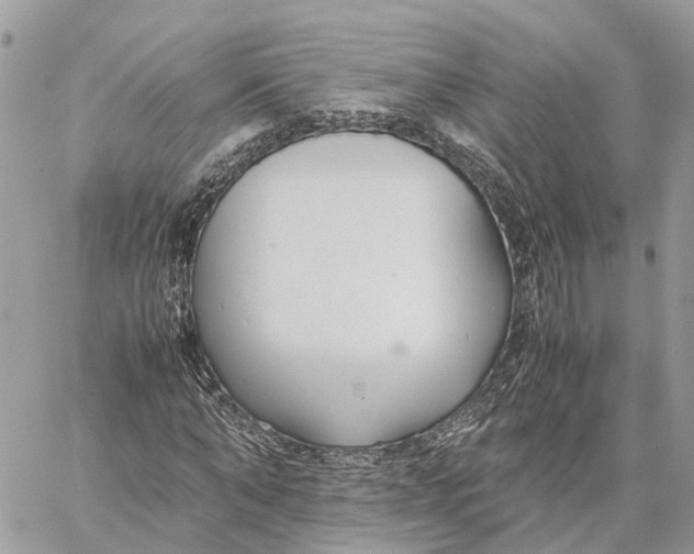 X0000060260870200511181351