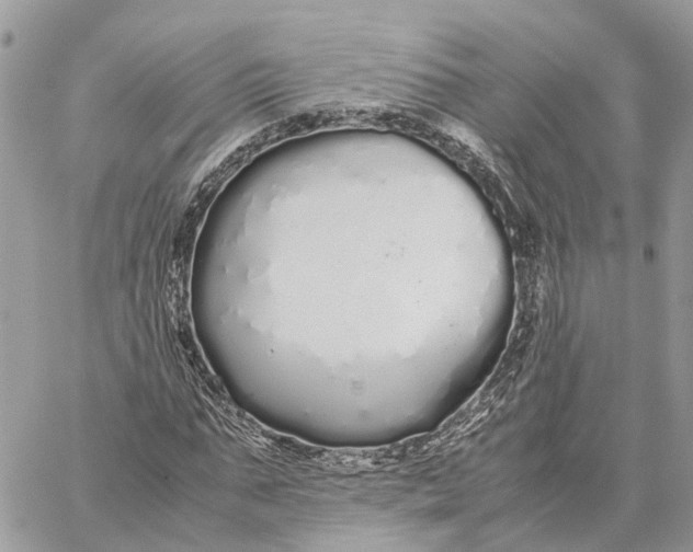 X0000060260871200511181351