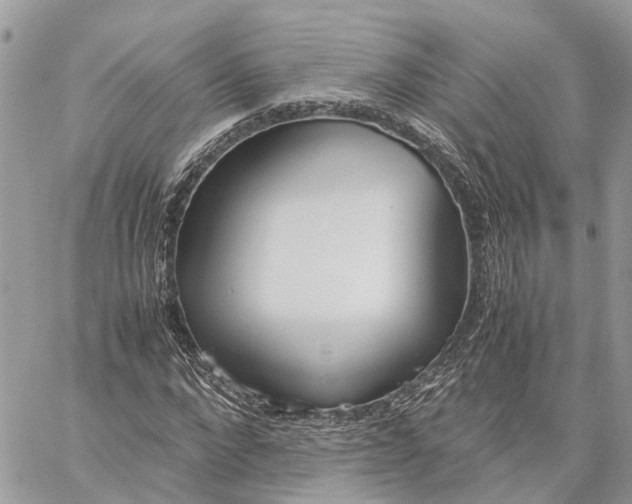 X0000060260872200511181351