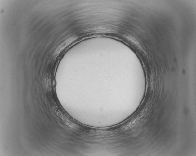 X0000060260873200511181351