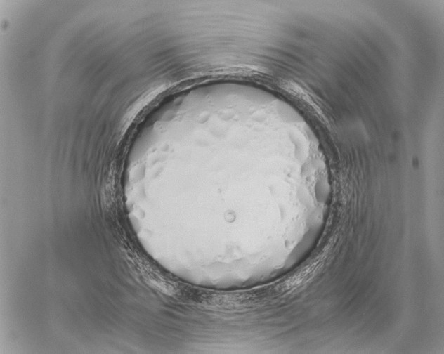 X0000060260875200511181351