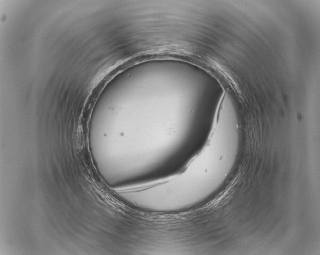 X0000060260876200511181351