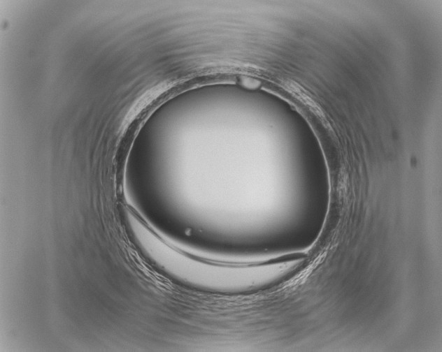 X0000060260877200511181351