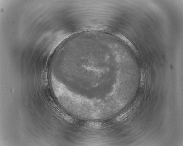 X0000060260878200511181351