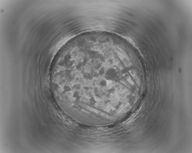 X0000060260879200511181351