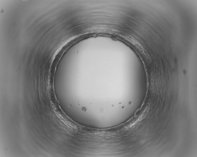 X0000060260880200511181351