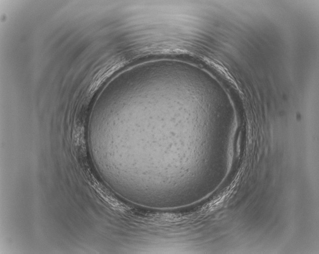 X0000060260881200511181351