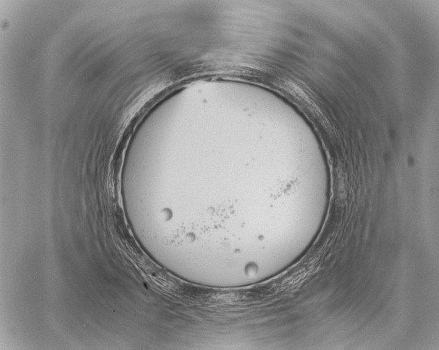 X0000060260883200511181351