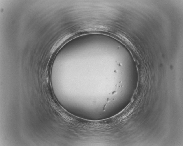 X0000060260885200511181351